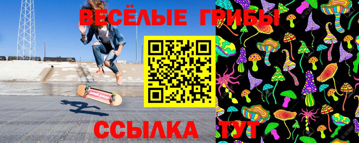 Галлюциногенные грибы MAGIC MUSHROOMS Великий Новгород