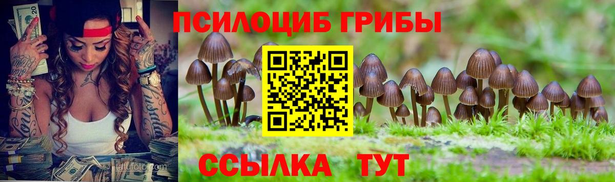 Псилоцибиновые грибы Magic Shrooms  Вход с VPN  Псилоцибиновые грибы Psilocybe  Великий Новгород 
